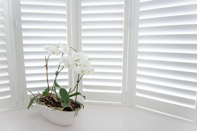Plantation Blinds Installation in Arvada, CO